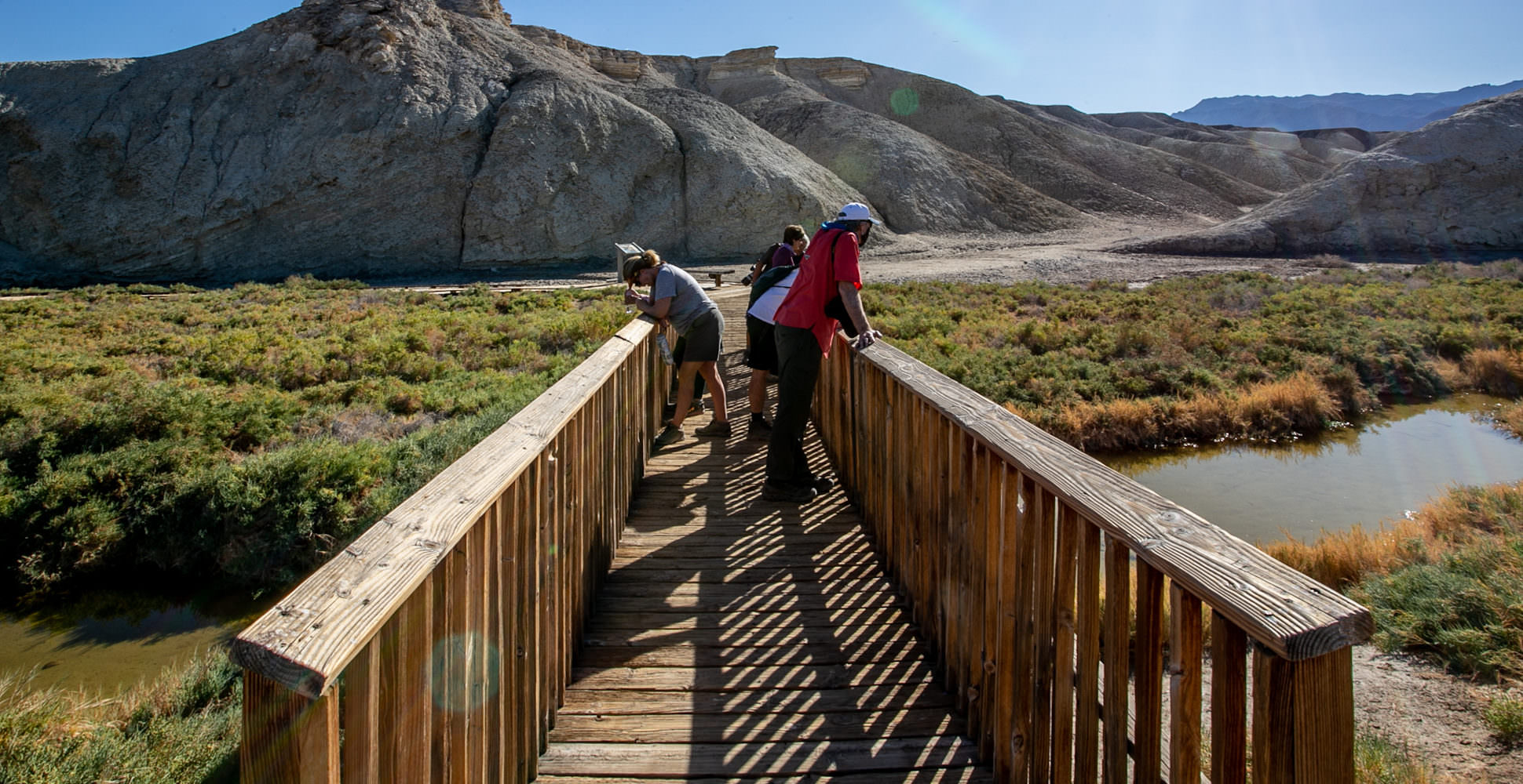 Salt Creek Trail