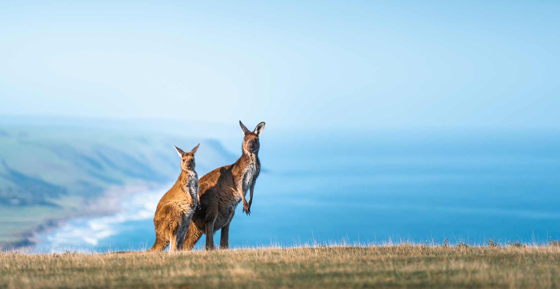 Kangaroo Island